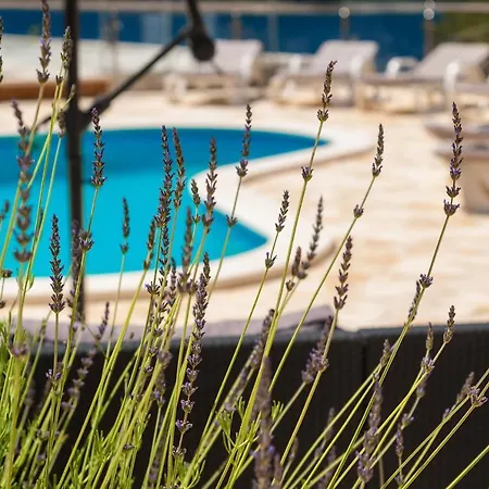 Appartement Milina Korcula