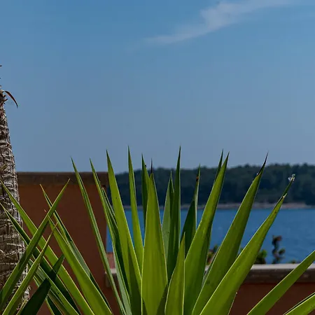 Milina Korcula A Quiet Mediterranean Retreat Апартаменты Вела-Лука