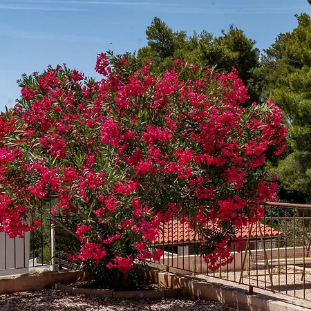Appartamento Milina Korcula Vela Luka