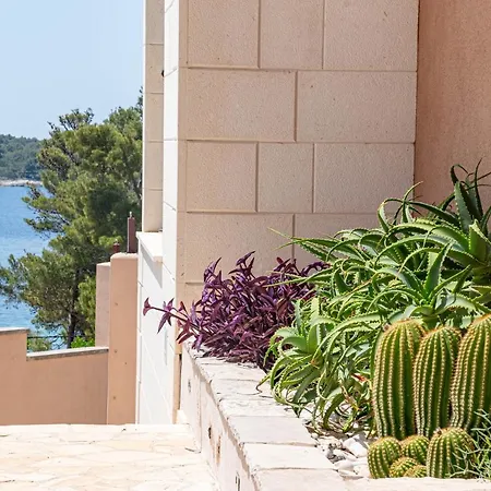 Milina Korcula